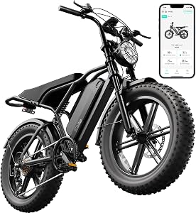 TST Electric Bike for Adults 1500W Peak 20" Fat Tire All-Terrain E-Bike 60/110 Miles 