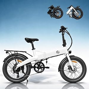 MEYZONKT 20" Folding Electric Bike, 750W Motor, Fat Tire E-Bike
