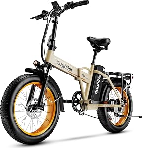 bluebiko 1000W Folding Electric Bike, 48V 20AH Large Removable Battery E Bike, 80 Miles Ma
