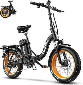bluebiko 1000W Folding Electric Bike, 48V 20AH Removable Battery E Bike, 70 Miles Max Rang