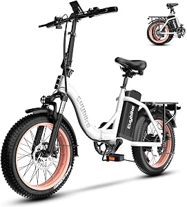 Kebiko 1000W Folding Electric Bike,48V 20AH Removable Battery E Bike,80 Miles Max Range El