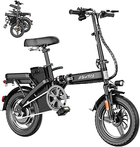 RPINT Foldable Electric Bike for Adults and Teens, 740W Peak Motor Ebike, 48V 10/20AH Remo