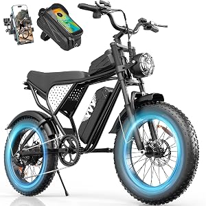Electric Bike for Adults, 48V 20Ah Removable Battery, 1500W Peak & 100+ Miles Ebike, D