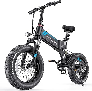 Wooken Electric Bike, 20''X4.0 Fat Tire Electric Bike for Adults, Peak 1000W Foldable Elec